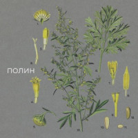 Ты поселилась у душі