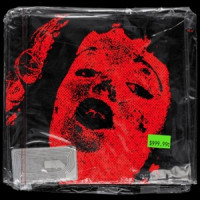 Ты поселилась у душі