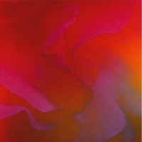 Ты поселилась у душі